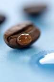 A drop of water on a coffee bean