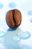 Water drops and a coffee bean (close up)