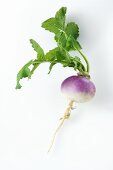 A white turnip with leaves