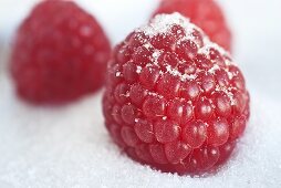 Three raspberries in sugar (close up)