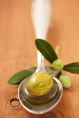 A spoonful of olive oil with a green olive and an olive sprig