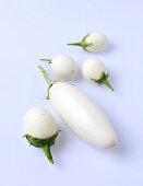 White aubergines, cultivar Tango