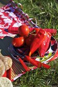 Tomatoes, peppers, cutlery and plates on a picnic rug