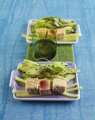Seared tuna with sesame seeds and cucumber salad