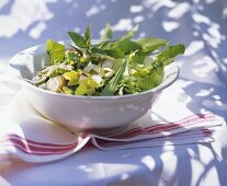 Lettuce salad with garden herbs and mustard dressing