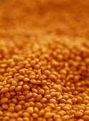 Red lentils, full-frame