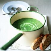 Ein Topf Brennnessel-Spinatsuppe und Röstbrot