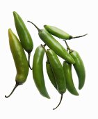 A green chilli pepper (chile serrano, sierra chilli)