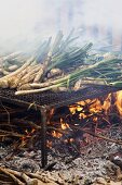 Frühlingszwiebeln auf Rost über Holzfeuer