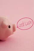 A lucky pink pig with the words 'Good Luck' in a speech bubble