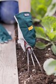 A child loosening the soil in a vegetable patch