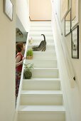 Frau spielt mit Katze auf weisser Holztreppe, Treppe