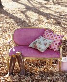 Bench amongst leaf litter