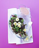 Herb salad with primroses and walnuts