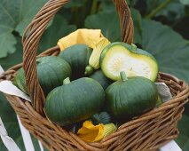 Round courgettes in a wicker basket