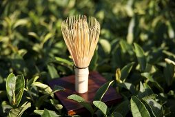 A bamboo tea brush for matcha powder