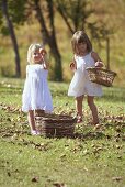 Two little girls collecting apples in a meadow