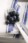 Blueberries on cutlery
