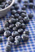 Blueberries on a checked table cloth