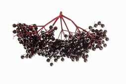 Elderberries