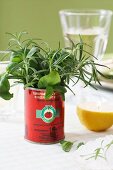 A tomato tin as a herb vase