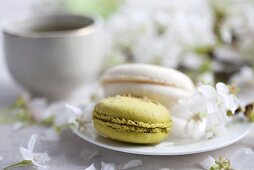 Green tea macaroons and champagne macaroons with cherry blossom