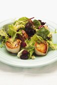 Mixed leaf salad with scallops, pecans and cranberries