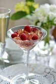 Rose jelly with raspberries