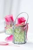 A rose in a wire basket