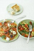 Tomato salad and panzanella
