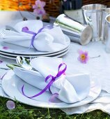 Tableware on picnic cloth
