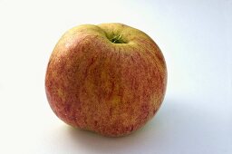 Einer Apfel der Sorte 'Belomer Falscher Grafensteiner'