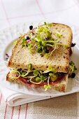 Sliced sausage, gherkin and radish sprout sandwich