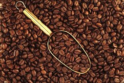 Roasted coffee beans with scoop