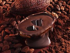 Pieces of chocolate, melted chocolate, cocoa beans, cocoa, cacao fruit