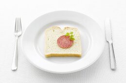 Toastscheibe mit Salami und Liebstock auf weißem Teller