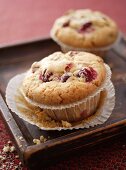 Cranberrymuffins in Papierförmchen