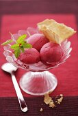 Cranberry sorbet with wafers