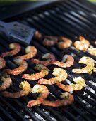 Prawns with Middle Eastern marinade on barbecue