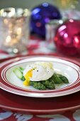 Green asparagus with poached egg