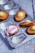 Madeleines in baking tin