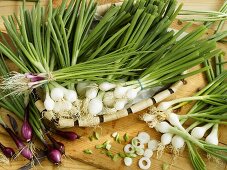 White and red spring onions