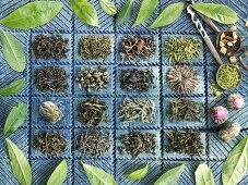 Verschiedene Sorten grüner Tee
