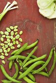 Broad beans, spring onions and fennel (overhead view)