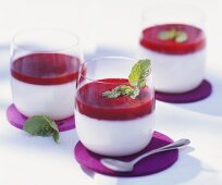 Panna cotta with fruit sauce in glasses