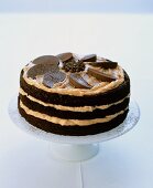 Chocolate sponge cake with orange cream