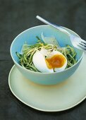 Zucchinisalat mit Parmesan und weich gekochtem Ei