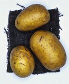 Potatoes, variety: Finka