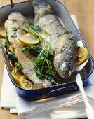Roasted trout with parsley and lemon