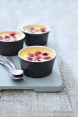 Lemon cream with raspberries in ramekins